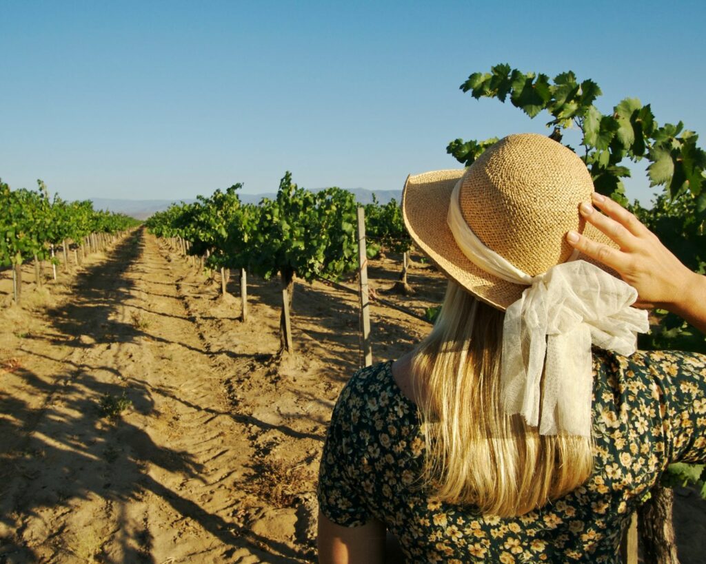 jeune femme de dos avec un chapeau dans des vignes