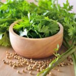 Coriander and seeds