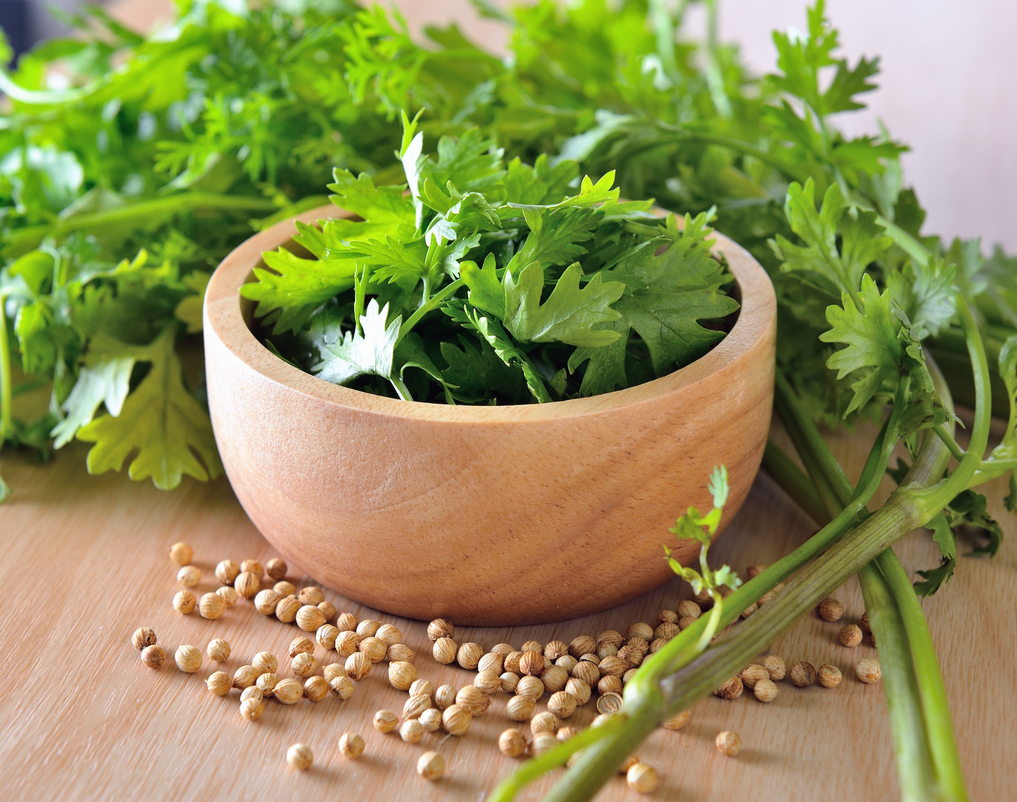 Coriander and seeds