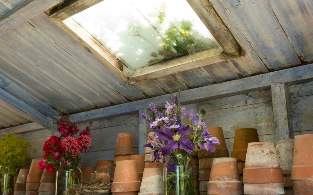 Comment entretenir et embellir les abris de jardin.