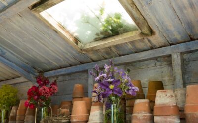 Comment entretenir et embellir les abris de jardin.