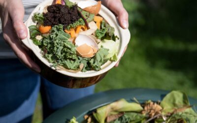 Les lois sur le compostage et leur évolution