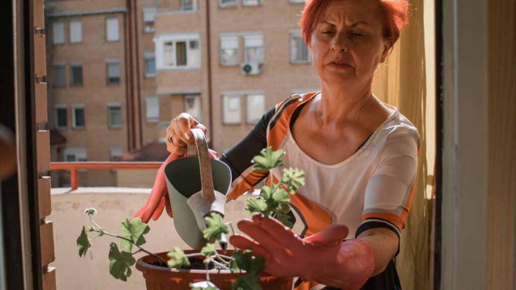  potager sur un balcon