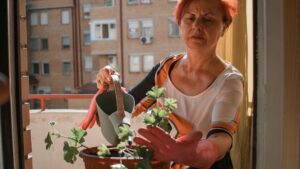 potager sur un balcon
