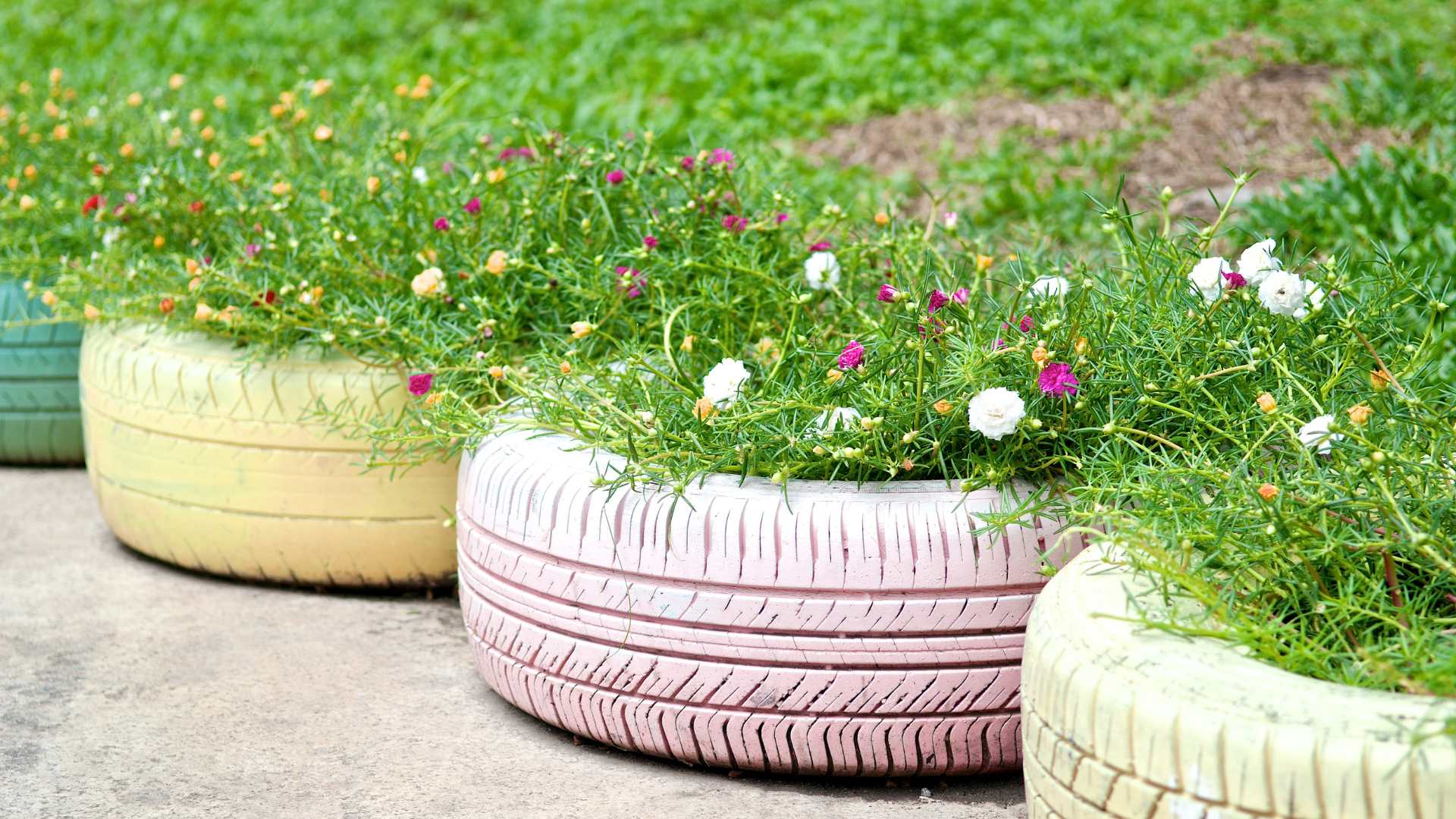 diy jardin