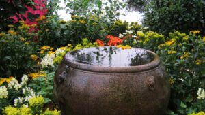 forme ronde