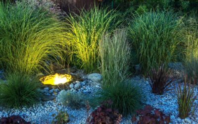 Comment aménager son jardin : les règles d’or.