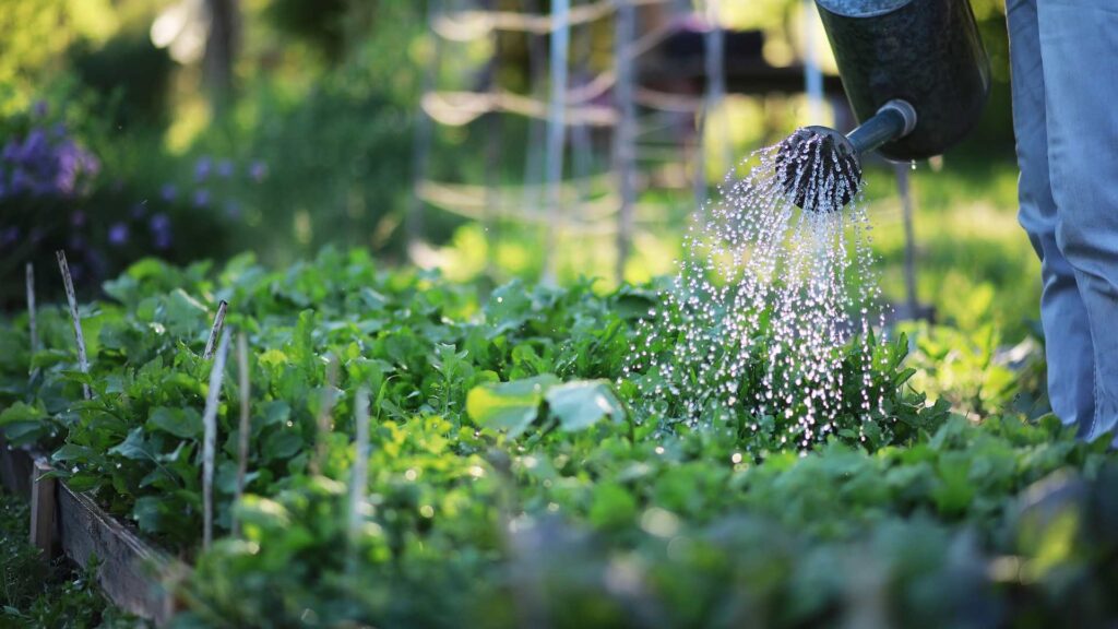 jardin style campagne