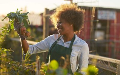 Utiliser des applications pour connaître les bonnes pratiques de jardinage.