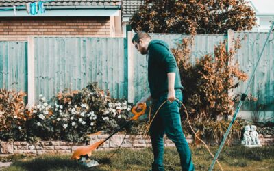Ameublir, bassiner, bêcher : le lexique du jardinier.