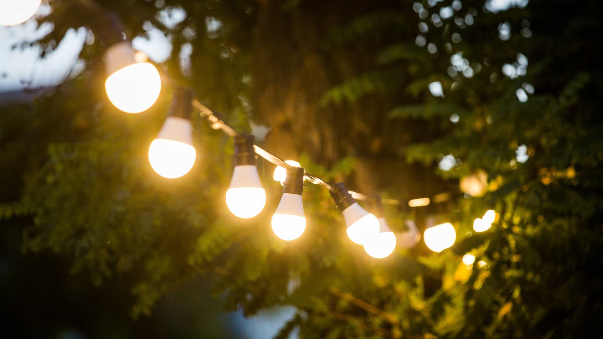 Luminaire