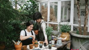 plante en pot