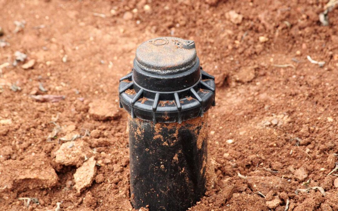 Comment choisir une pompe de jardin adaptée à vos besoins ?