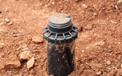 Comment choisir une pompe de jardin adaptée à vos besoins ?
