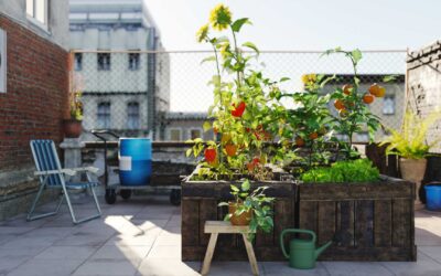Aménager un petit potager sur votre balcon.