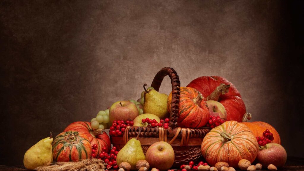 potager en automne