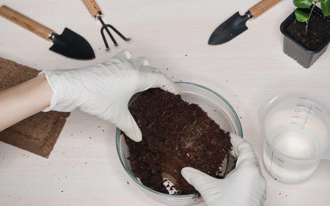 Astuces pour choisir le bon substrat pour vos plantes.