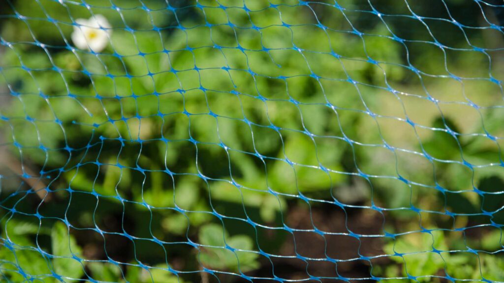 grillage de jardin