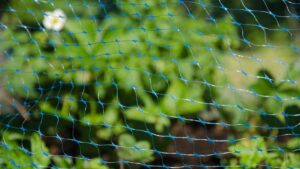 grillage de jardin