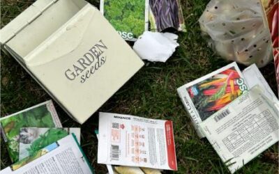 Pourquoi choisir la semence bio pour son jardin ?