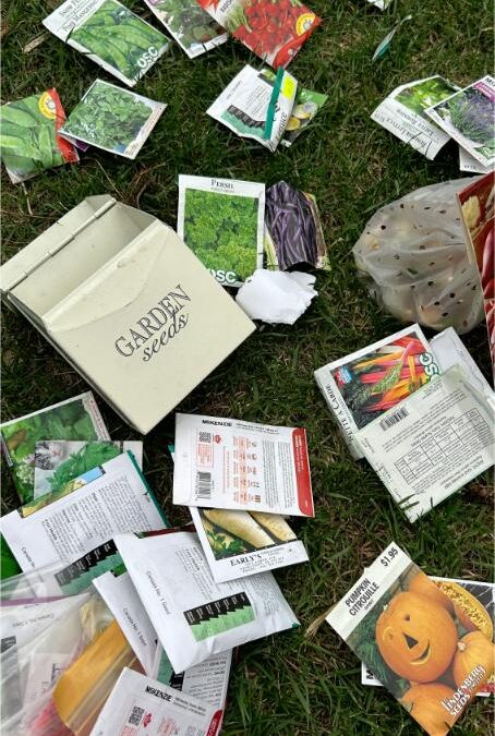 Pourquoi choisir la semence bio pour son jardin ?